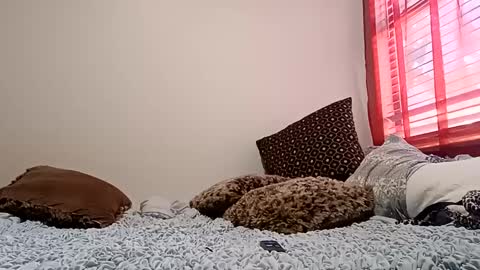 meowzers777 online show from December 2024 06:48:02 PM