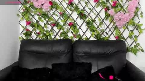 My next birthday is December 11th. online show from November 2025 12:42:01 AM