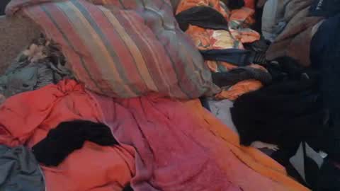 mesa_von7 online show from June 2026 10:32:02 AM