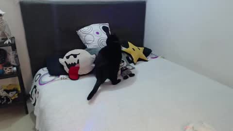 mia online show from October 2025 12:52:01 AM