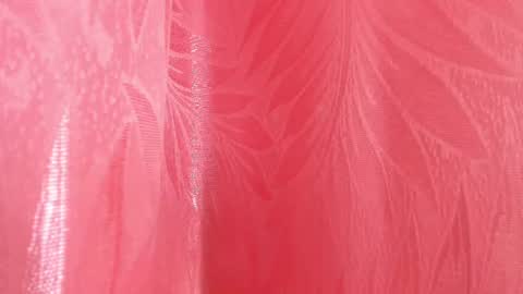 Snapshot of mia_nova5 chatting on July 2026 11:50:01 AM mia_nova5 online show from July 2026 11:50:01 AM