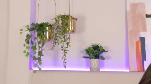 mia_oconner online show from December 2024 02:14:02 PM