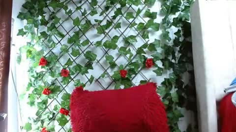 Snapshot of mia_squirt_big chatting on December 2024 12:49:01 PM Mia squirt big INDEPENDENT MODEL...ONLYFANS online show from December 2024 12:49:01 PM