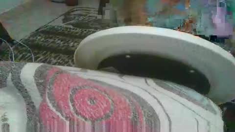 miagomezx online show from February 2026 04:42:01 AM