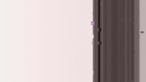 miamifit online show from March 2026 05:11:02 AM