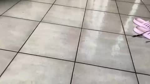 MiauzMiauz online show from April 2026 02:34:02 PM