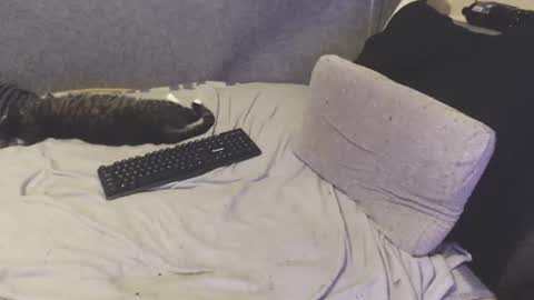 Michael online show from June 2026 08:46:02 AM