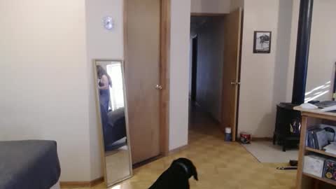 Snapshot of michelle209 chatting on February 2025 03:56:02 PM Michelle online show from February 2025 03:56:02 PM