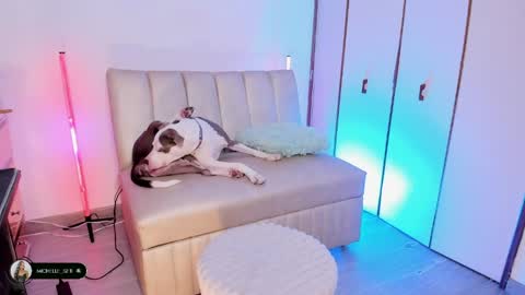 Michelle online show from April 2026 09:59:02 PM