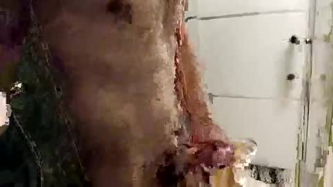 mickavis1975 online show from December 2025 05:40:02 PM