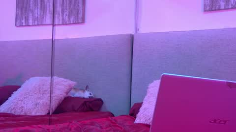 Mickey online show from November 2025 04:25:02 AM