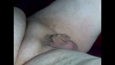 micropimmel online show from February 2026 08:30:01 PM