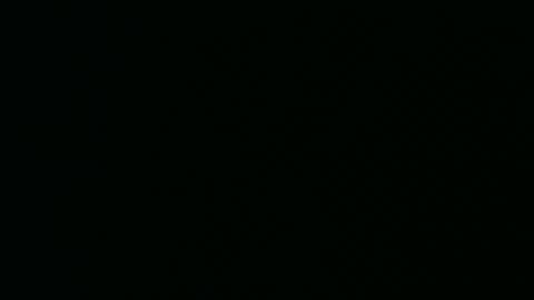 micwalrus online show from March 2026 04:36:01 PM