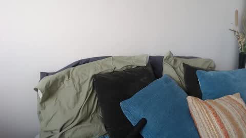 Snapshot of midsummernightsdream chatting on January 2026 05:27:02 PM MidsummerNightsDream online show from January 2026 05:27:02 PM
