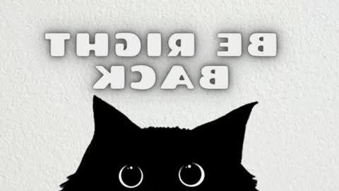 Mia online show from February 2026 09:20:01 AM