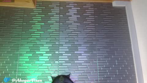 Snapshot of miia_zarate chatting on January 2025 09:10:01 PM Ma - online show from January 2025 09:10:01 PM