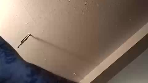 Snapshot of mike3333me chatting on October 2025 12:32:01 AM mike3333me online show from October 2025 12:32:01 AM