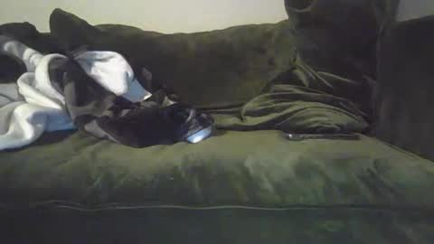 Snapshot of mike_davis44444 chatting on January 2025 07:07:02 AM mike_davis44444 online show from January 2025 07:07:02 AM