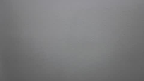 Snapshot of mikehannigan123 chatting on February 2026 04:47:01 PM mikehannigan123 online show from February 2026 04:47:01 PM