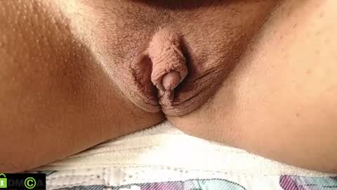 Mikell Williams online show from April 2026 01:12:01 PM