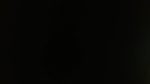 Rosalie  online show from February 2025 09:33:01 AM