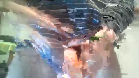  Milymen26  Polish man  master  fereskik straight mature online show from January 2026 11:32:02 PM