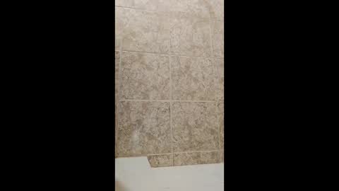 mineiro1514 online show from April 2026 02:34:01 AM