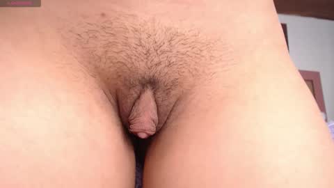 Snapshot of minene_mikami chatting on October 2025 12:28:02 PM minene_mikami online show from October 2025 12:28:02 PM