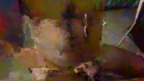 minoas31 online show from December 2024 06:46:02 PM