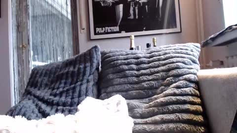 Ben online show from February 2026 09:02:02 AM