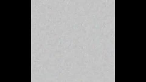 Misa online show from November 2025 08:03:02 AM