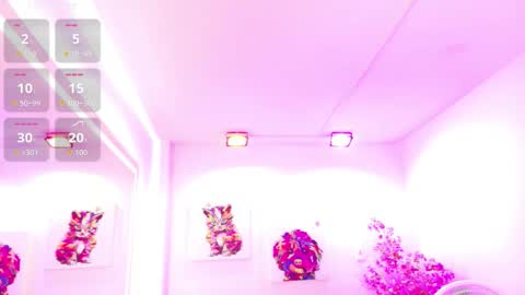 Melanie online show from March 2026 12:21:02 PM