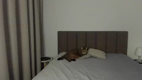 Emily online show from February 2025 08:13:02 PM