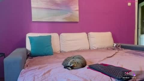 Olly online show from May 2026 12:35:02 PM