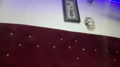 Missbelle online show from February 2026 09:16:01 PM