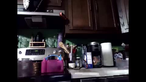 Snapshot of misseeva chatting on December 2024 06:46:01 AM MissEeva online show from December 2024 06:46:01 AM