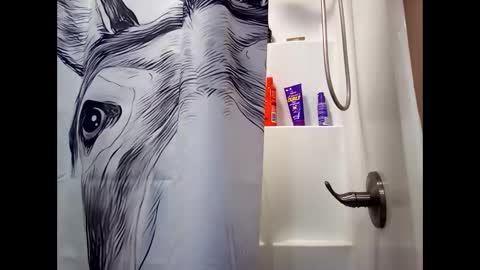 Snapshot of misseeva chatting on February 2025 03:10:02 AM MissEeva online show from February 2025 03:10:02 AM