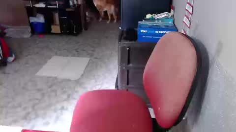 Maria Gomezz online show from March 2026 04:11:01 PM