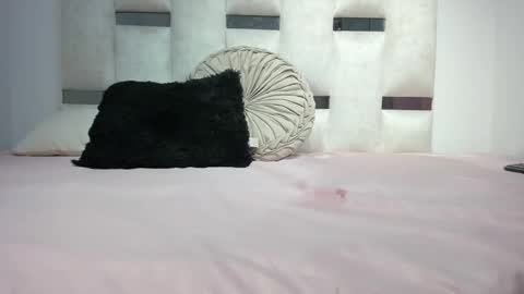 missnatasha05 online show from September 2025 12:03:02 AM