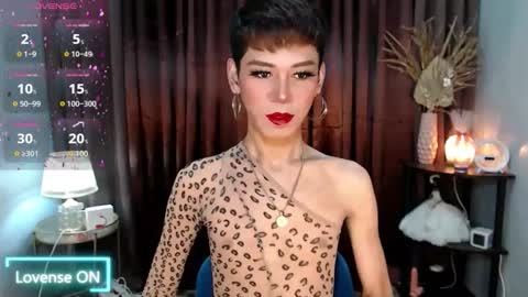 Stella online show from September 2025 07:08:01 AM