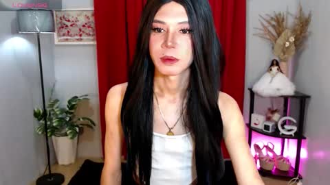 Stella online show from November 2025 08:02:01 AM