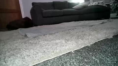 misterycouple12 online show from December 2024 12:25:01 AM