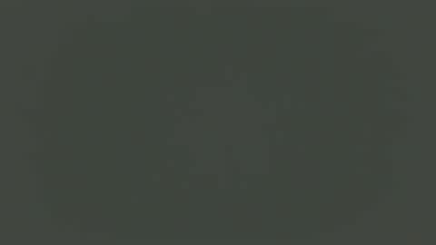 mistxss online show from February 2026 02:31:01 PM