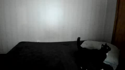 MizzKittay online show from February 2025 12:03:02 PM