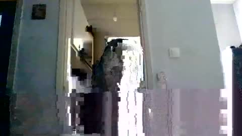 Snapshot of mmpempis81 chatting on February 2025 07:12:02 AM mmpempis81 online show from February 2025 07:12:02 AM