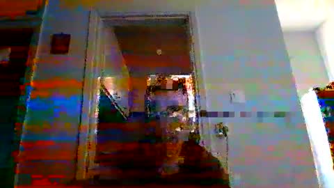 Snapshot of mmpempis81 chatting on March 2025 04:11:01 PM mmpempis81 online show from March 2025 04:11:01 PM