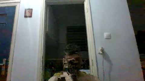 mmpempis81 online show from September 2025 07:08:01 PM