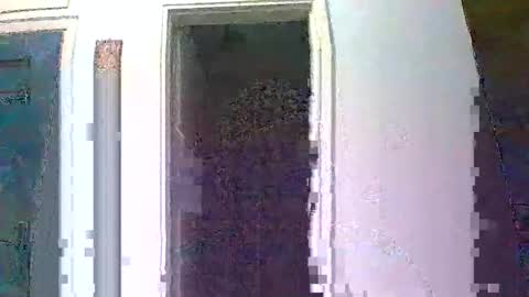 mmpempis81 online show from October 2025 05:30:01 PM