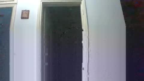 mmpempis81 online show from October 2025 05:32:01 PM