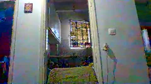 mmpempis81 online show from October 2025 05:04:02 AM